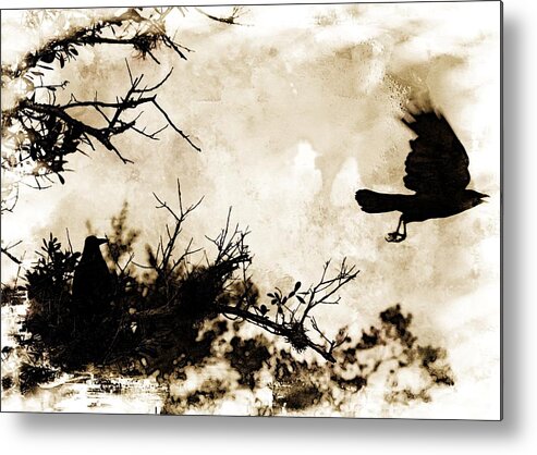 Crow Metal Print featuring the photograph As the crow flies by Stoney Lawrentz