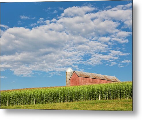 Summer Metal Print featuring the photograph August Cornfield Landscape by Alan L Graham