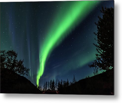 Alaska Metal Print featuring the photograph Aurora Borealis, Northern Lights in Denali National Park by Brenda Jacobs