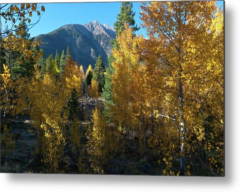 Autumn Metal Print featuring the photograph Autumn Color at Twin Lakes by Cascade Colors
