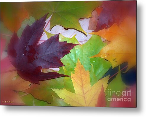 Trees Metal Print featuring the photograph Autumn by Larry Keahey