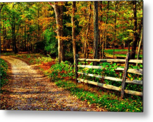 Autumn Metal Print featuring the photograph Autumn Moment - Allaire State Park by Angie Tirado