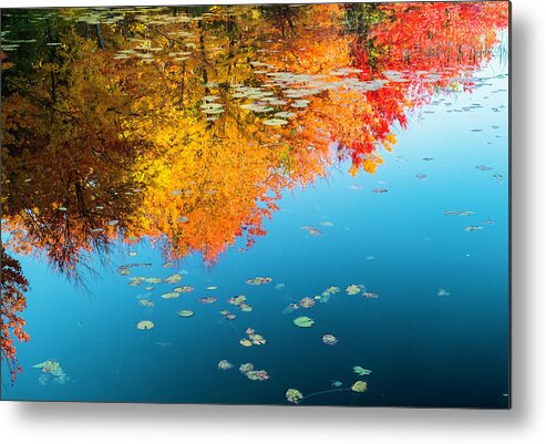 Intimate Landscape Metal Print featuring the photograph Autumn Reflections by John Roach