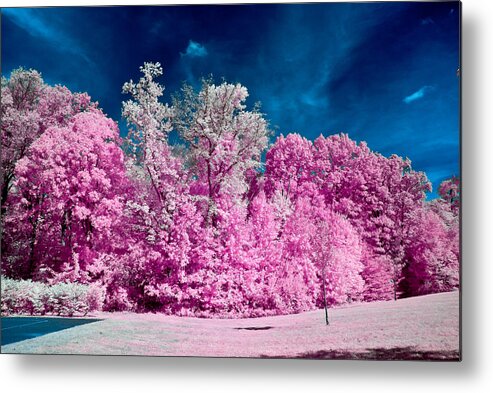 Infrared Metal Print featuring the photograph Autumn Trees in Infrared by Louis Dallara