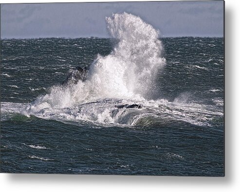 Ocean Metal Print featuring the photograph Awesome Ocean Display At Sail Rock by Marty Saccone