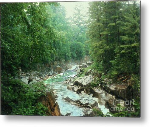 Main Metal Print featuring the photograph Backwoods Maine by Desiree Paquette