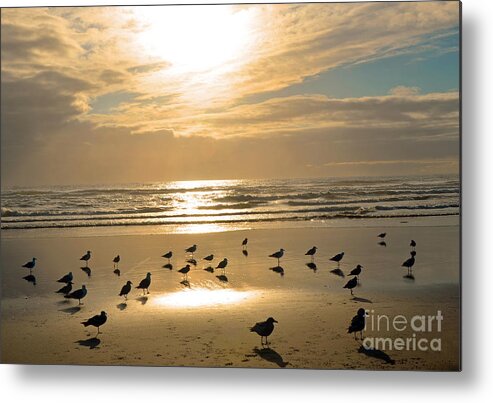 Long Beach Metal Print featuring the photograph Beach Party by Frank Larkin