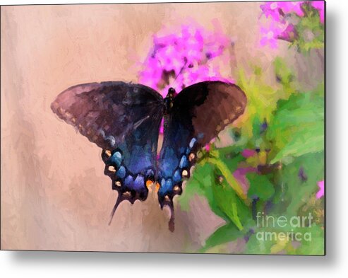 Pipevine Swallowtail Butterfly Metal Print featuring the photograph Beautiful Morning by Betty LaRue