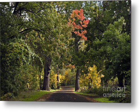 Landscape Metal Print featuring the photograph Bidwell Park by One Mile by Richard Verkuyl