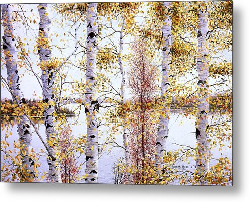 Birch-trees Metal Print featuring the painting Birch-Trees at lake of Bays by Conrad Mieschke