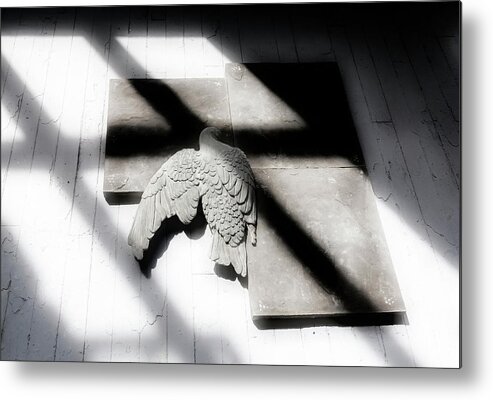 Shadow Metal Print featuring the photograph Bird In A House by Micah Offman