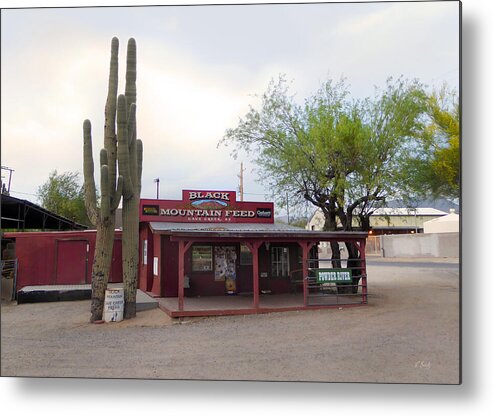 Old Metal Print featuring the photograph Black Mountain Feed by Gordon Beck