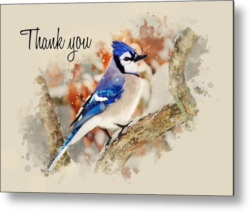 Thank You Metal Print featuring the mixed media Blue Jay Watercolor Thank You Card by Christina Rollo