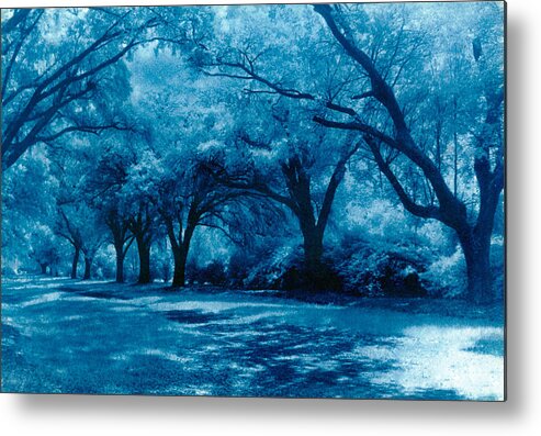 Landscape Metal Print featuring the photograph Blue Way by Jean Wolfrum