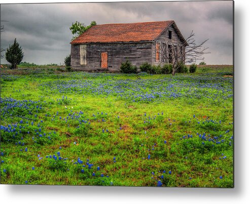 Bluebonnet Metal Print featuring the photograph Bluebonnets and Abandoned Farm House by David and Carol Kelly