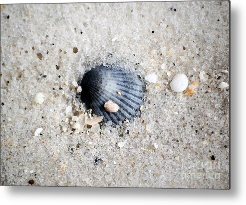 Shell Metal Print featuring the photograph Bluish Purple Ribbed Sea Shell Macro Buried in Fine Wet Sand Watercolor Digital Art by Shawn O'Brien
