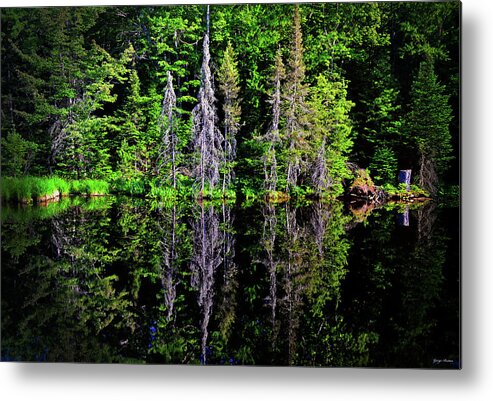 Trees Metal Print featuring the photograph Bond Falls - Michigan 001 - Reflection by George Bostian