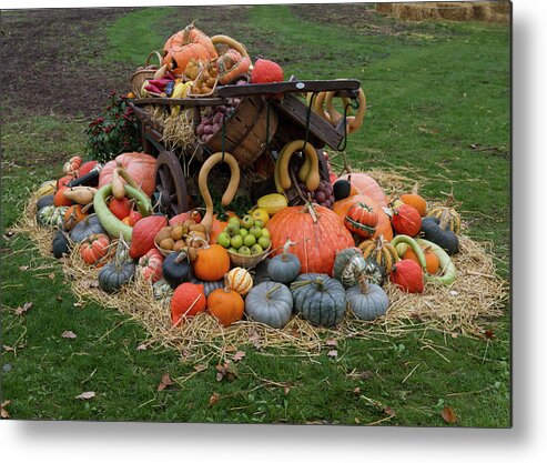 Harvest Metal Print featuring the photograph Bountiful Harvest l by Shirley Mitchell