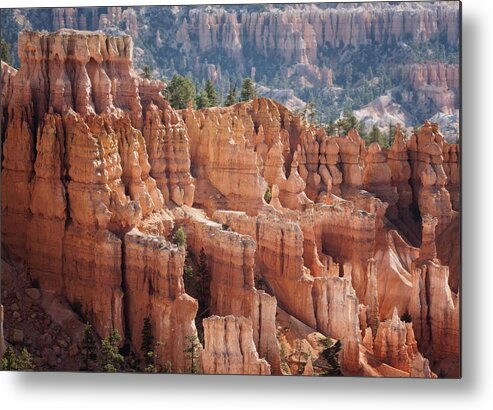 Betty Depee Metal Print featuring the photograph Bryce Canyon by Betty Depee