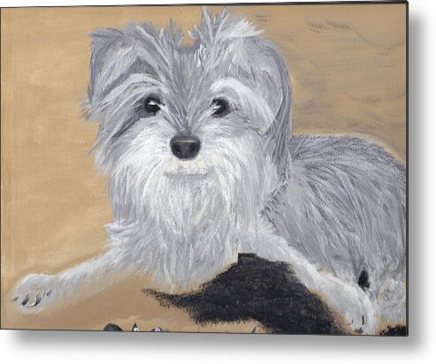 Dog Metal Print featuring the painting Buddy by Debbie Levene