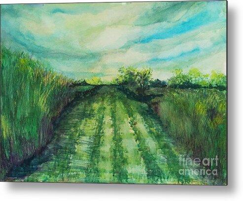 Landscape Metal Print featuring the painting Cane Road by Francelle Theriot