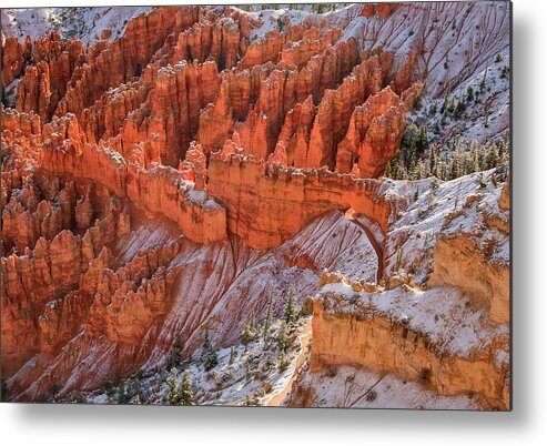 Canyon Metal Print featuring the photograph Canyon Trail by John Roach
