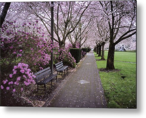 Salem. Capital Metal Print featuring the photograph Capital Bloom by HW Kateley