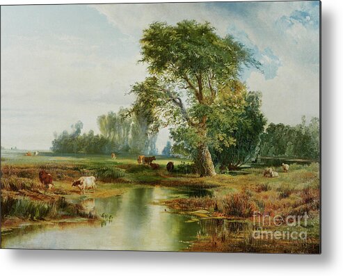 Cattle Watering Metal Print featuring the painting Cattle Watering by Thomas Moran