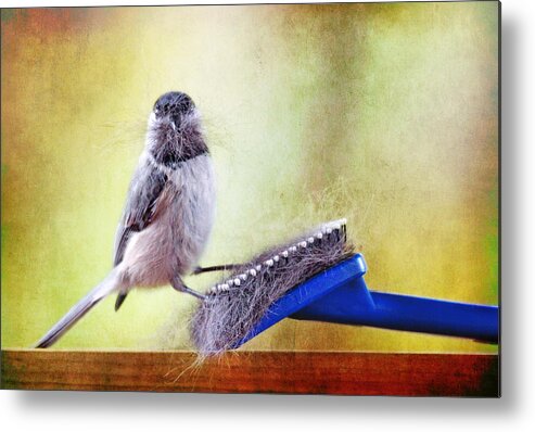 Birds Metal Print featuring the photograph Caught in the Act by Trina Ansel