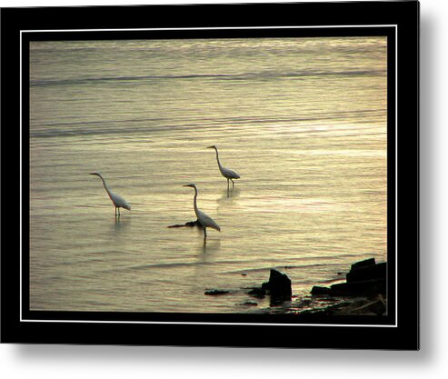 Clearwater Beach Metal Print featuring the photograph Clearwater Beach by Carolyn Marshall