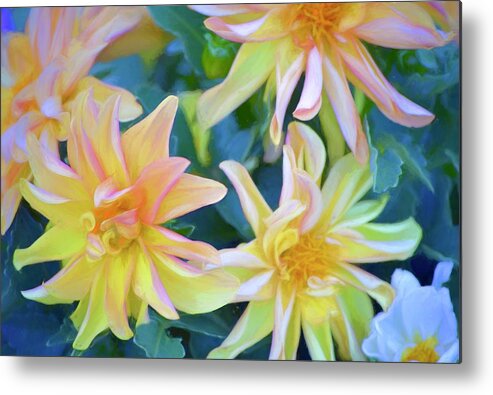 Floral Metal Print featuring the photograph Color 154 by Pamela Cooper