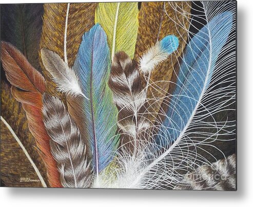 Feathers Metal Print featuring the drawing Colors of Flight SOLD prints available by Lisa Bliss Rush