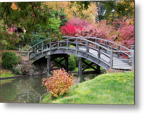 Nature Metal Print featuring the photograph Connections by Darlene Bushue