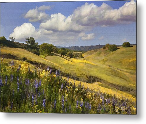 Lupine Metal Print featuring the digital art Cottonwood Canyon by Sharon Foster