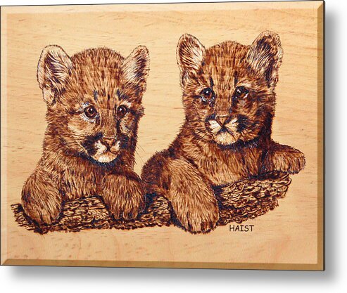 Cougar Metal Print featuring the pyrography Cougar Cubs by Ron Haist