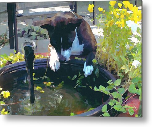 Dog Metal Print featuring the digital art Counting Fish by Tg Devore