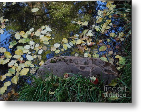 Sedona Metal Print featuring the photograph Crab Apple and Leaves by Heather Kirk