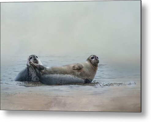 Seal Metal Print featuring the photograph Curious Onlookers by Robin-Lee Vieira