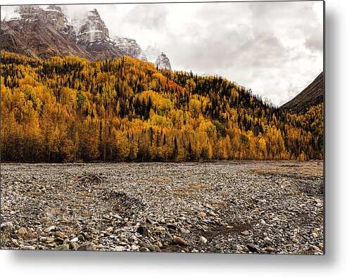 Autumn Colors Metal Print featuring the photograph Dan Creek Color by Fred Denner