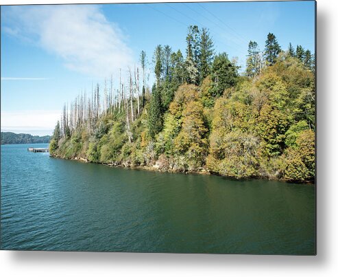 Dead Trees Across The Umpqua River Metal Print featuring the photograph Dead Trees across the Umpqua River by Tom Cochran