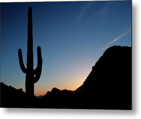Cactus Metal Print featuring the photograph Desert cactus Sunrise by Ted Keller