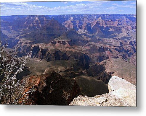 Grand Canyon National Park Metal Print featuring the photograph Don't Get Too Close to the Edge by Larry Ricker