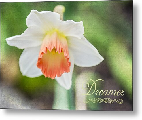 Flower Metal Print featuring the photograph Dreamer by Cathy Kovarik