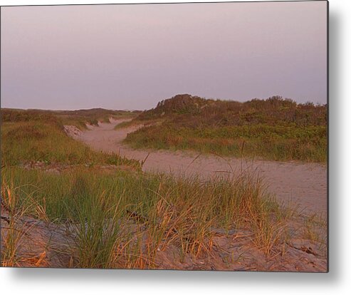 Dune Metal Print featuring the photograph Dune Road by Newwwman