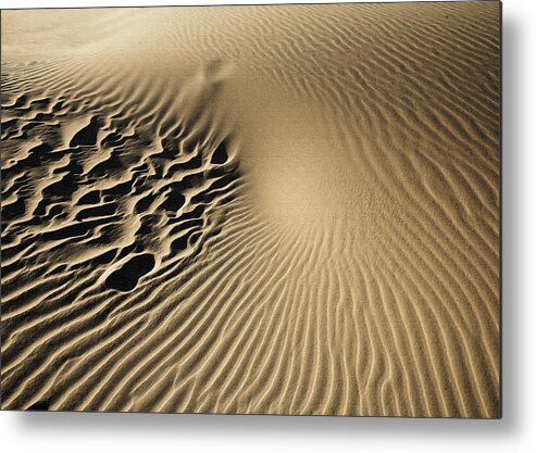 Landscape Metal Print featuring the photograph Dunes Footprints by Sharon Foster