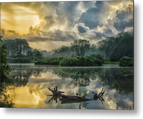 Harris Neck Metal Print featuring the photograph Early Morning at Woody Pond by Ray Silva