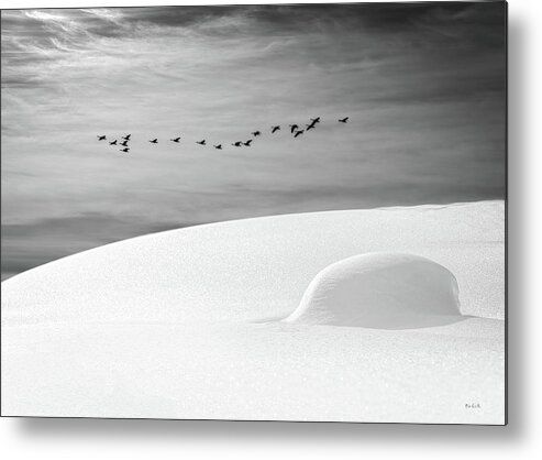 Landscape Metal Print featuring the photograph Early Snow by Bob Orsillo