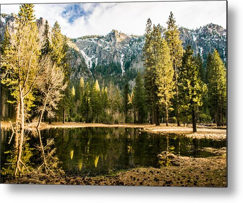 Landscape Metal Print featuring the photograph Early Spring Reflections by Susan Eileen Evans