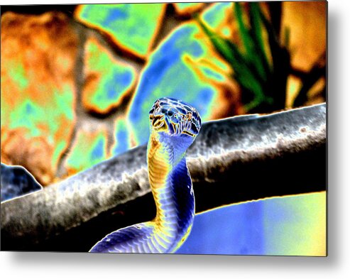 Snake Metal Print featuring the digital art Face Of The Snake by Peter McIntosh