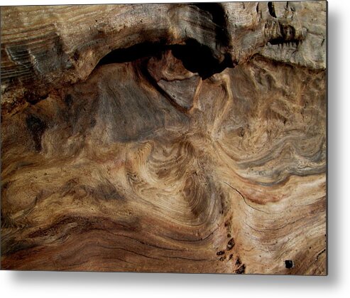 Redwood Metal Print featuring the photograph Faces in the Wood #3 by Larry Bacon